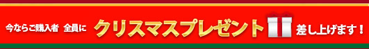 今ならご購入者全員にクリスマスプレゼント差し上げます