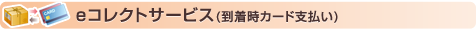 eコレクトサービス