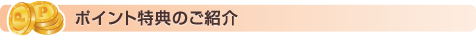 ポイント特典のご紹介